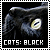 [Feline] Black Cats