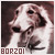 [Dog] Borzoi