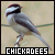 [Bird] Chickadees