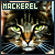 [Feline] Mackerel Tabbies
