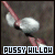 Pussywillows