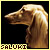 [Dog] Saluki