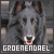 [Dog] Groenendael/Belgian Shepherd