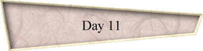 Day 11