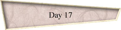 Day 17