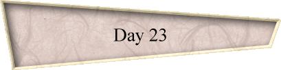 Day 23