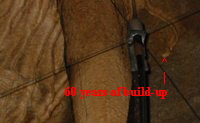 ^
                                           |
           60 years of build-up